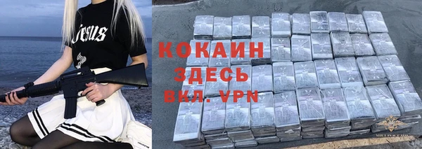 гидра Пестово