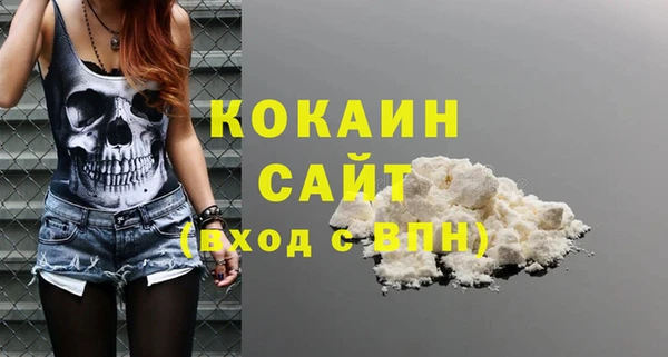 СК Осинники