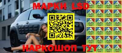 индика Аргун