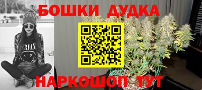 сатива Апрелевка