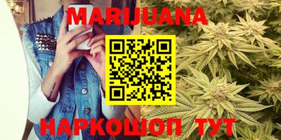 индика Аргун