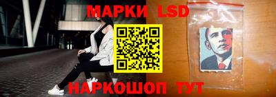 индика Аргун
