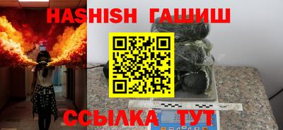индика Аргун