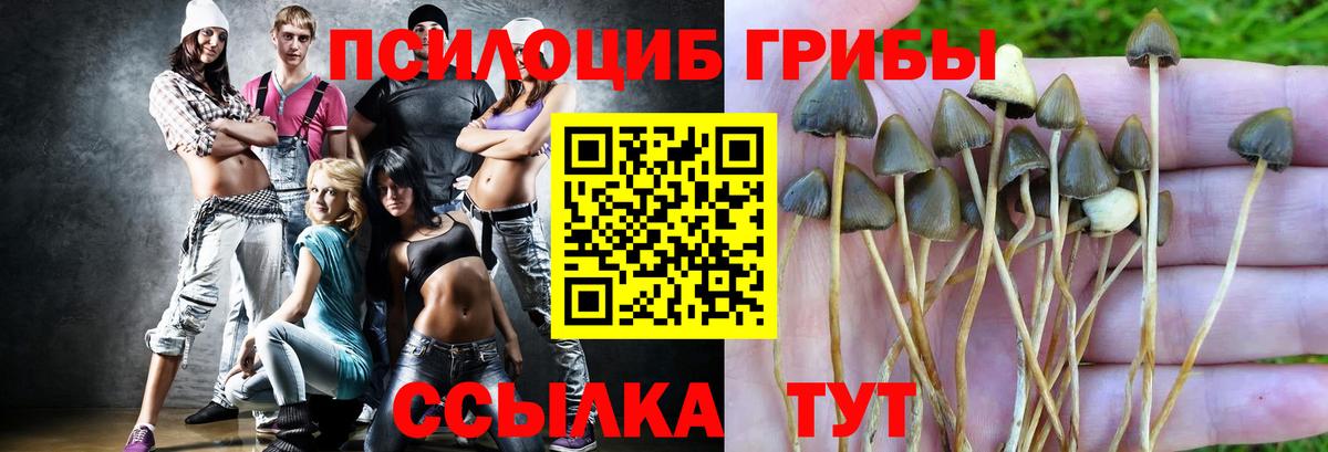 Меф мяу мяу Комсомольск-на-Амуре